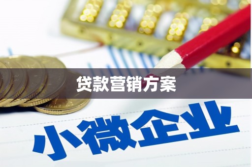 陆丰贷款营销方案