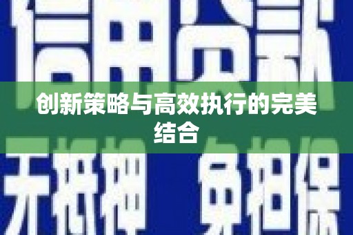 陆丰创新策略与高效执行的完美结合