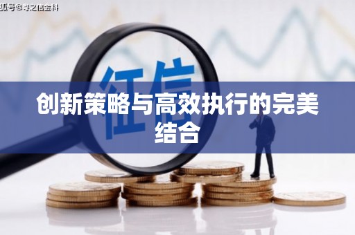 陆丰创新策略与高效执行的完美结合