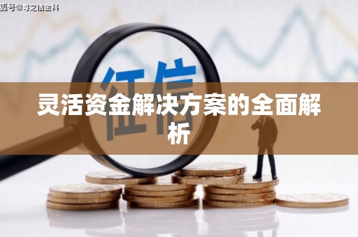 陆丰灵活资金解决方案的全面解析