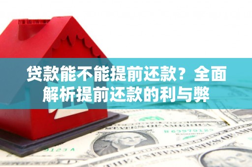 陆丰贷款能不能提前还款？全面解析提前还款的利与弊