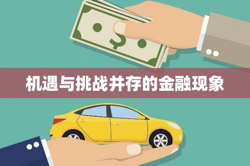 陆丰机遇与挑战并存的金融现象