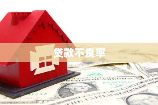 陆丰贷款不良率