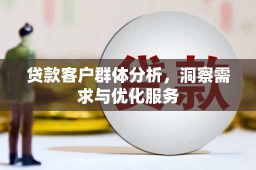 陆丰贷款客户群体分析，洞察需求与优化服务